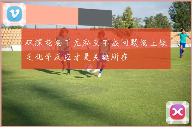 双探花场下无私交不成问题场上缺乏化学反应才是关键所在